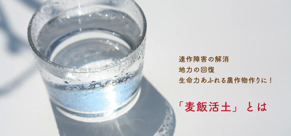 連作障害の解消、地力の回復、生命力あふれる農作物作りに！「麦飯活土」とは