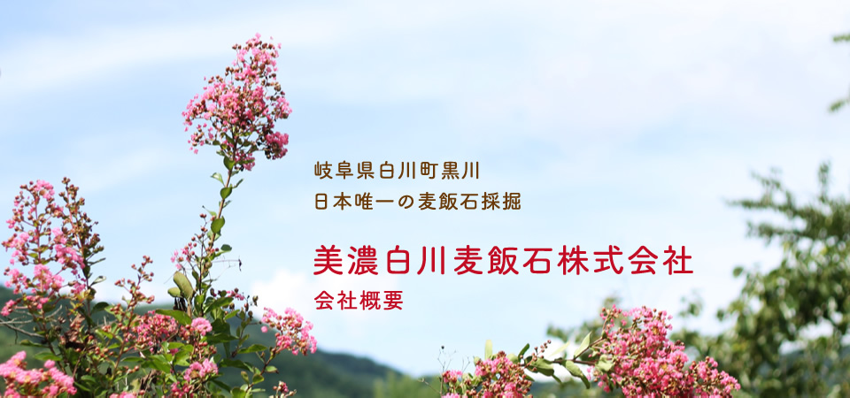 岐阜県白川町黒川、日本唯一の麦飯石採掘 美濃白川麦飯石株式会社 会社概要