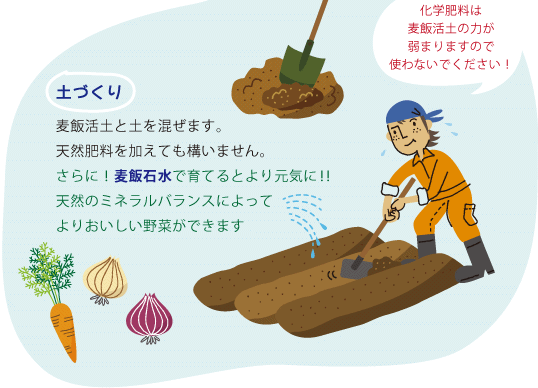 土づくり：麦飯活土と土を混ぜます。天然肥料を加えても構いません。さらに！麦飯石水で育てるとより元気に！！天然のミネラルバランスによって、よりおいしい野菜ができます。